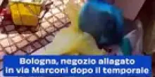 Bologna, negozio allagato in via Marconi dopo il temporale: il video