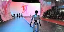 I robot cinesi programmati con IA per "curare" la solitudine dei single