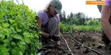 Italia Agrifood Innovation Hub, nuovo motore per il settore agroalimentare