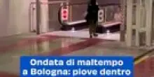 Maltempo a Bologna: Infiltrazioni in Stazione e Alberi Caduti su Auto in Transito
