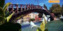 Turismo, crollano le presenze in Italia dal Golfo Persico