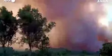 Incendio vicino a N&icirc;mes, un muro di fumo incombe su L&eacute;denon