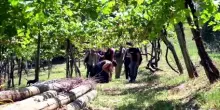 Vini, tradizione e storia ai piedi del Monte Taburno