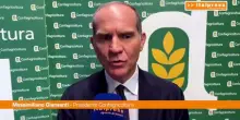 Giansanti "Sulla Xylella dare risposte concrete ai nostri agricoltori"
