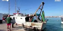 Relitti sommersi e mari caldi minacciano i pescatori di Lampedusa