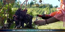 Agrifood Magazine - 8/7/2026