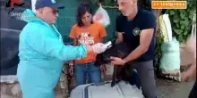 Sequestrati oltre 100 cani detenuti in gravi condizioni nel Palermitano, denunce