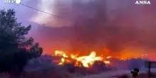 Maxi rogo in Spagna, in fiamme i boschi dell&rsquo;Andalusia