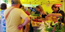 Mercati contadini Campagna amica in 71 ospedali d'Italia, nasce patto per la salute