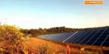 Transizione ecologica, gli italiani scelgono le rinnovabili