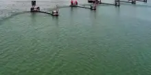 Il Po invaso dal mare: il video incredibile del cuneo salino