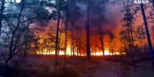 Vasto incendio nella foresta di Fontainebleau vicino Parigi