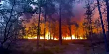 Vasto incendio nella foresta di Fontainebleau alle porte di Parigi