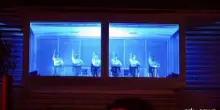 "Tevere in Danza", il Balletto di Roma all'Art Forum Wuerth Capena