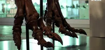 Record da Sotheby's per Gus Rex, uno dei T-Rex piu' grandi del mondo