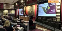 Vinitaly and the City a Sibari, la Calabria conquista la scena nazionale