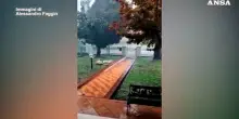 Maltempo, violento downburst colpisce Gonzaga