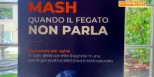 Salute del fegato, entro il 2040 la Mash avr&agrave; un impatto da 3 miliardi