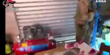 Scoperto laboratorio clandestino per la lavorazione della cocaina in Aspromonte