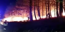 Spagna, incendio da 3.400 ettari divora boschi a nord-est di Madrid