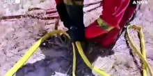 Maxi incendi in Spagna, in azione esercito e vigili del fuoco