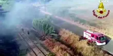 Incendi in Calabria, Canadair in azione nel Catanzarese