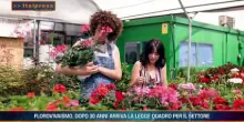 Tg Ambiente - 19/7/2026