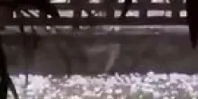 Nubifragio a Ferrara e Ravenna, temperature crollate: il video