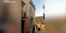 Cuccioli di cane morti per caldo, attivisti: &ldquo;Proprietario non finir&agrave; in cella&rdquo;