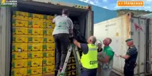 Savona, sequestrati al porto di Vado Ligure 800 chili di cocaina