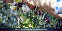 Agrifood Magazine - 22/7/2026