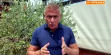 Pecoraro Scanio "Arrestare incendiari e sostenere sindaci e agricoltori"