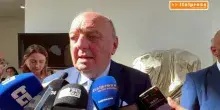 Nucleare, Pichetto "Ddl delega in Senato prima della pausa estiva"