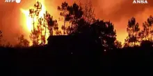 Violento incendio nel sud-est della Francia, migliaia di persone evacuate