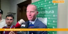 Agricoltura, Giansanti "Da crisi geopolitiche effetti sul sistema produttivo"