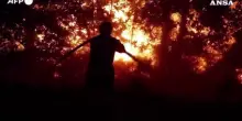 Maxi incendio devasta il sud-ovest della Francia, disposta l&rsquo;evacuazione di Cap Ferret
