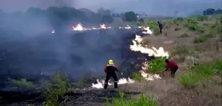 Bruciano Spagna e Francia, fiamme nell'area di Bordeaux e Madrid