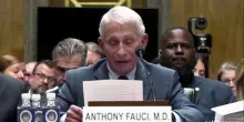 Covid, Fauci invoca il Quinto emendamento in Senato