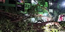 Rio de Janeiro, raffiche di vento a oltre cento all'ora: cinque morti