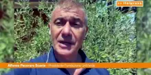 Pecoraro Scanio "Emergenza climatica &egrave; realt&agrave;, serve un piano del Governo"