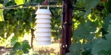 I vigneti di Villa Sandi trasformati in ecosistema intelligente