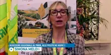 Umbria, la filiera del tabacco guarda al futuro