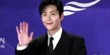 Le star coreane sfilano sul red carpet dei Blue Dragon Series Awards