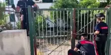 Sisma ai Campi Flegrei, salvato un cane bloccato in un edificio inagibile