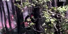 Grecia, incendio a 70 km da Atene minaccia Porto Germeno