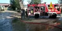 Incendio a Zocca, salvati 500 animali dai Vigili del fuoco
