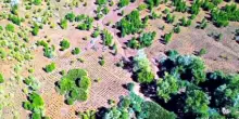 Neya amplia il progetto Ma Honko in Madagascar