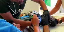 Amo da pesca in bocca, salvata tartaruga al centro soccorso Zoomarine