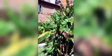 Roma, una cisterna medievale colma d'acqua sotto palazzo San Macuto