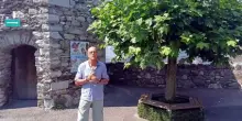 Villach, vacanze attive nella terra dei laghi (balneabili) del sud dell'Austria: "Le 5 cose imperdibili da fare"